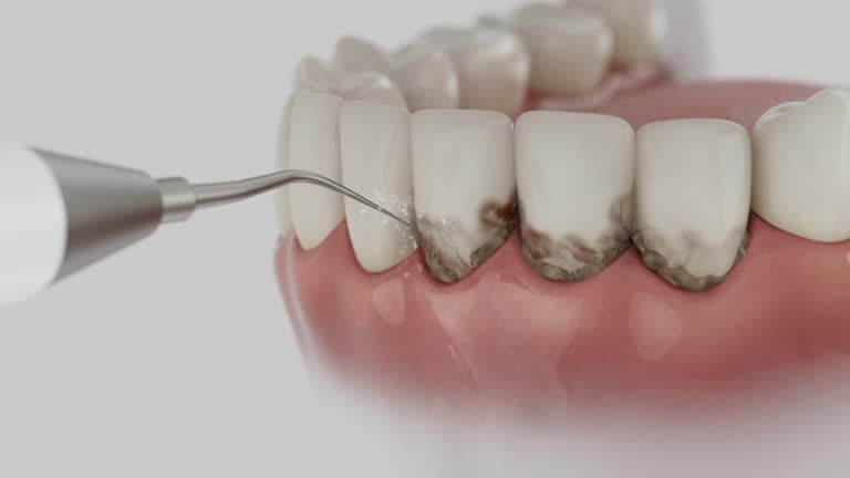 Reliable Dental contractor in Lincolnia, VA by Dentist Open Now
